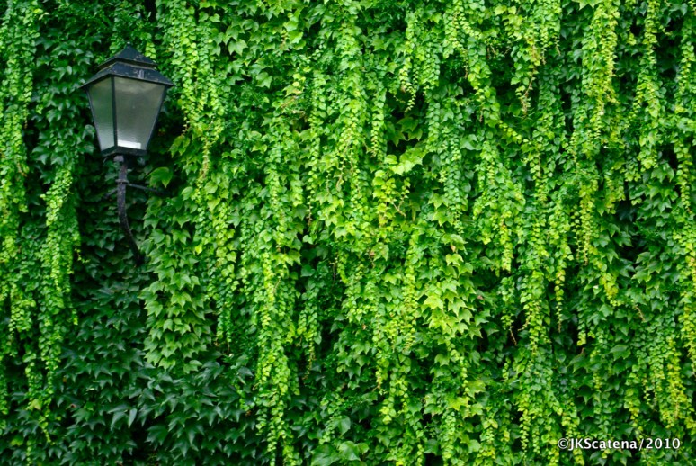 Green Texture, Salzburg