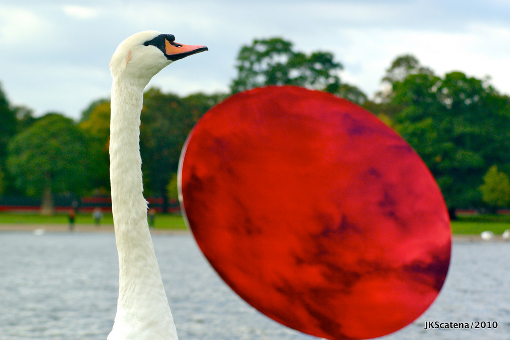 Anish Kapoor @ Kensington Gardens: Swan