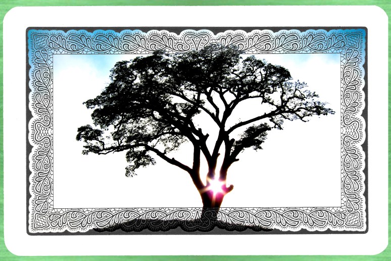 Atibaia: Game of Life