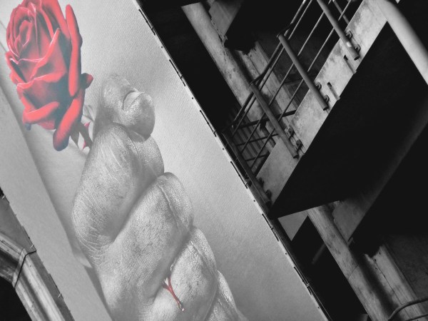 Twickenham: Rose, Red