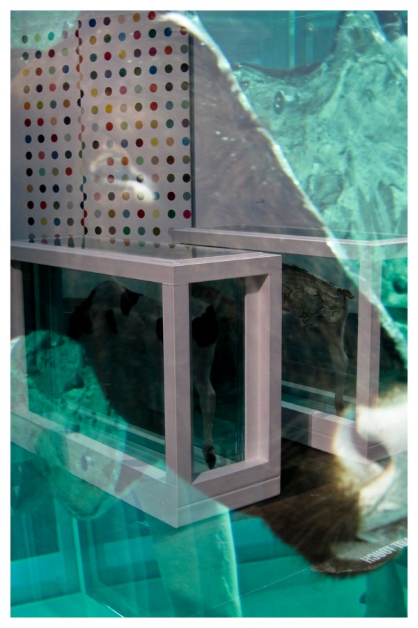 Damien Hirst by JKScatena