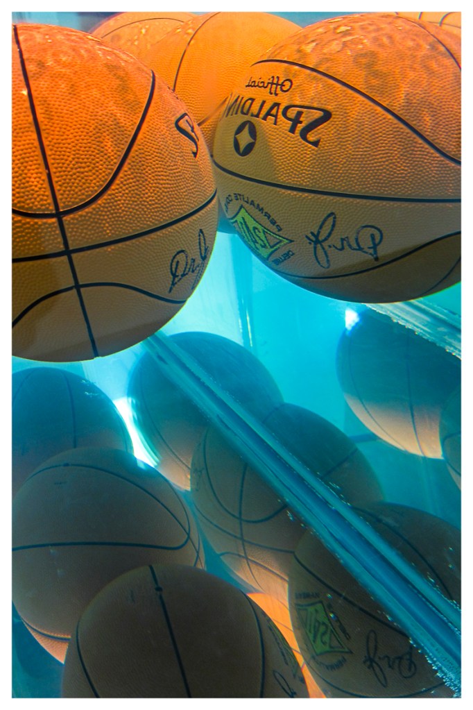 Jeff Koons by JKScatena