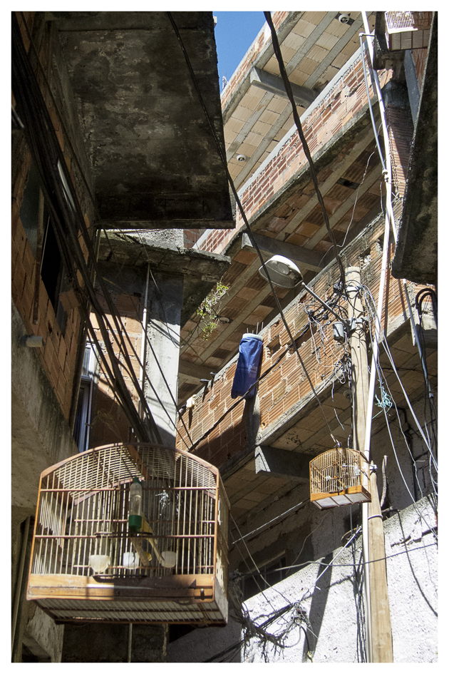 Rio de Janeiro: The freedom of the living