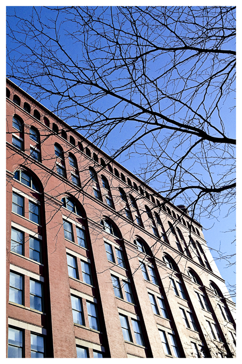 New York: The Archive