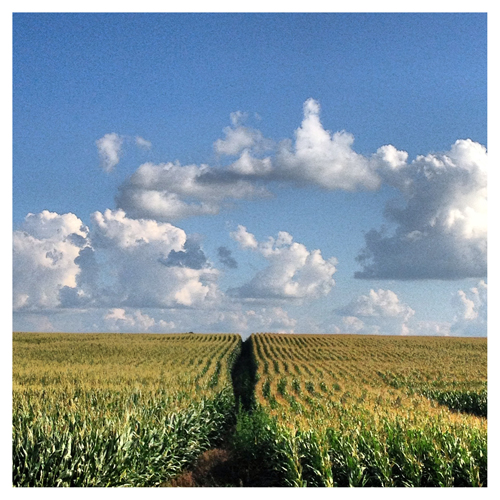 Illinois: Nothing but Corn & Clouds
