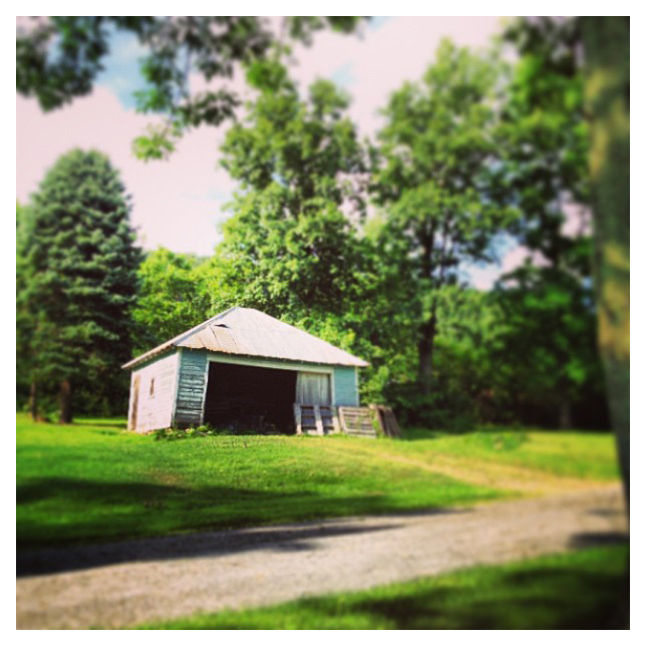 Warren County: Pennsylvania Wilds (Instantâneo)